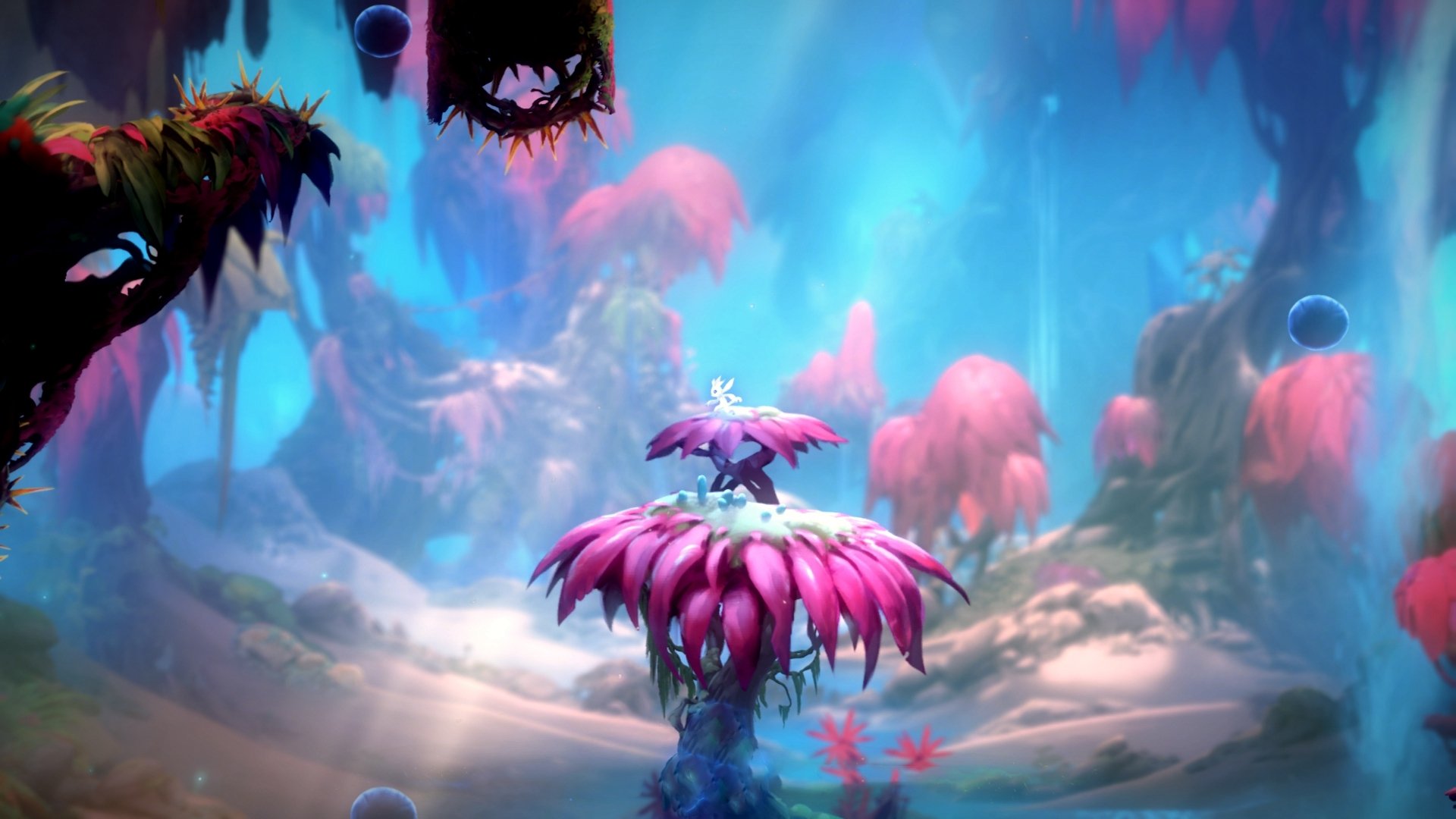 东契奇关键一锤定音，尼克斯终结吉林队连胜神话