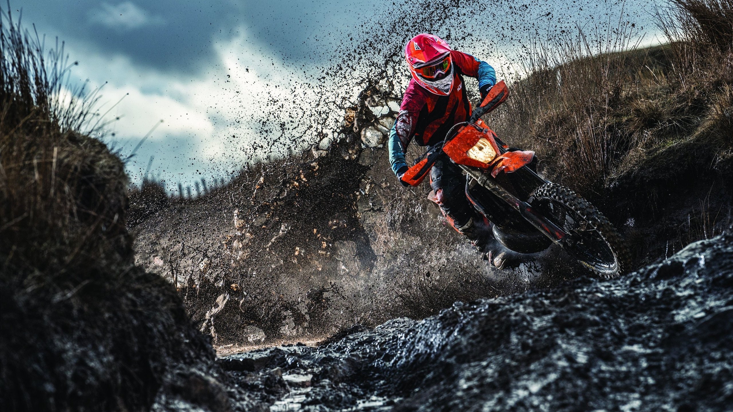 当东方铁流遇上西方磐石,公牛力克浙江,约基奇刷新纪录的双重奏